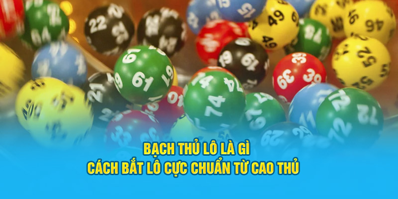 bach thu lo la gi cach bat lo cuc chuan tu cao thu