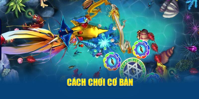 Cách chơi cơ bản