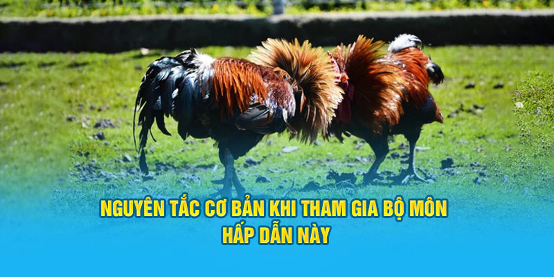 Nguyên tắc cơ bản khi tham gia bộ môn hấp dẫn này