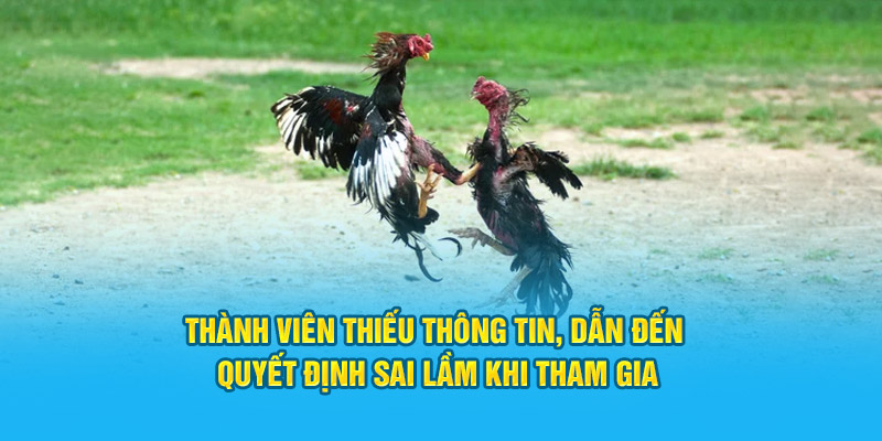 Thành viên thiếu thông tin, dẫn đến quyết định sai lầm khi tham gia