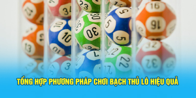 Tổng hợp phương pháp chơi bạch thủ lô hiệu quả